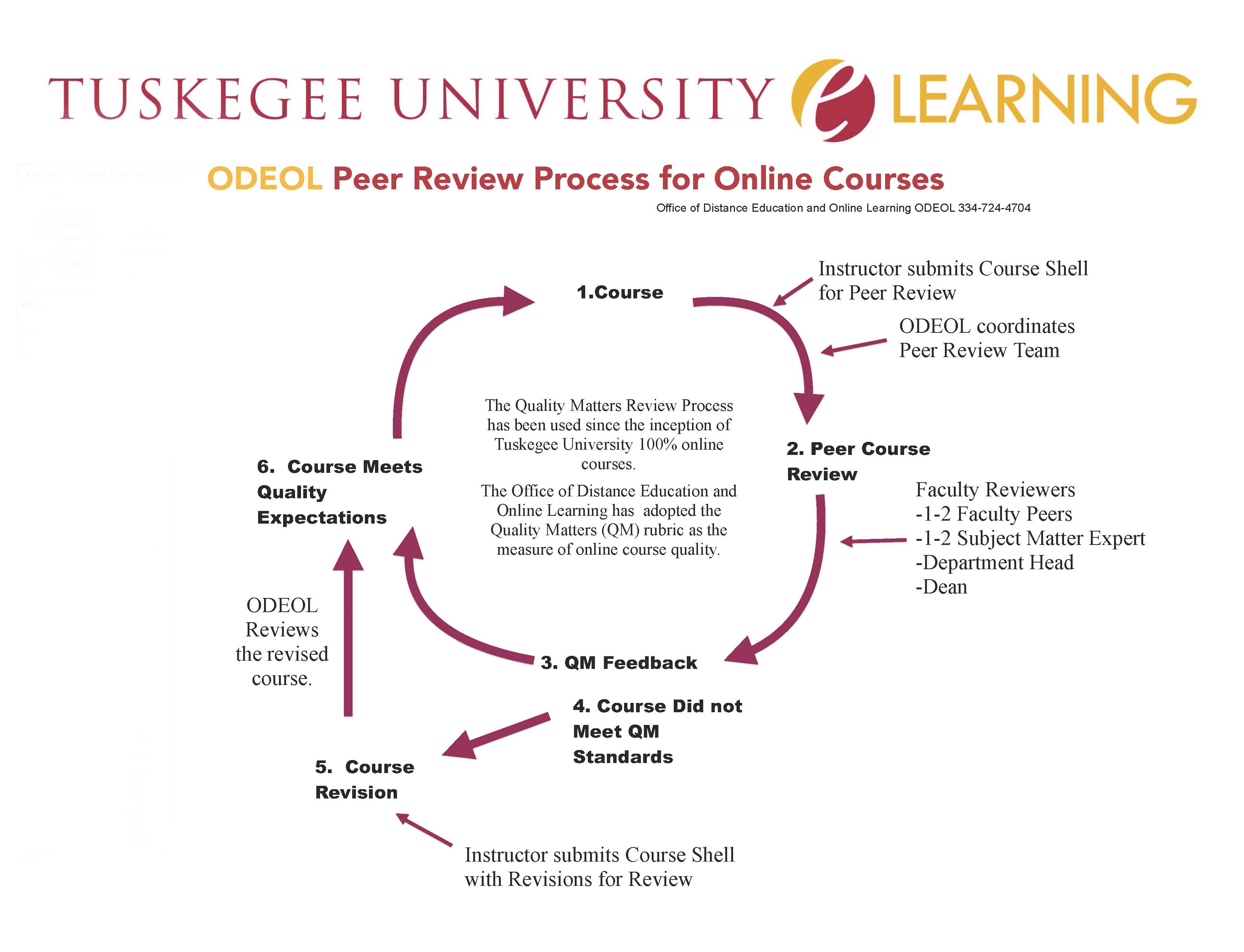 Online Course Peer Review process